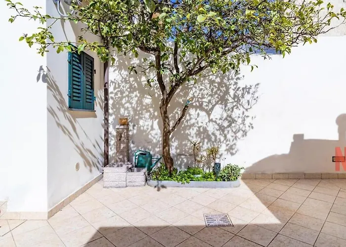 Singola Versilia Wifi Ac Viareggio